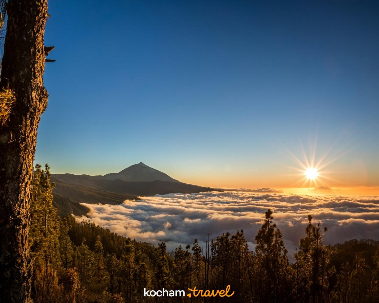 Wschód słońca nad chmurami, wulkan Teide, las sosnowy.