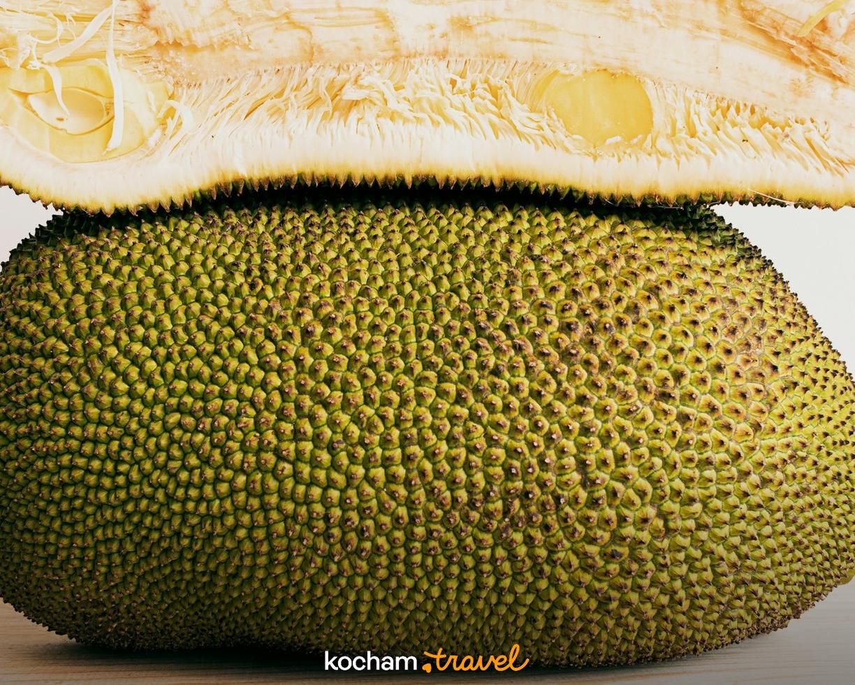 Jackfruit przekrojony, ukazujący zieloną kolczastą skórkę i jasnożółty miąższ.