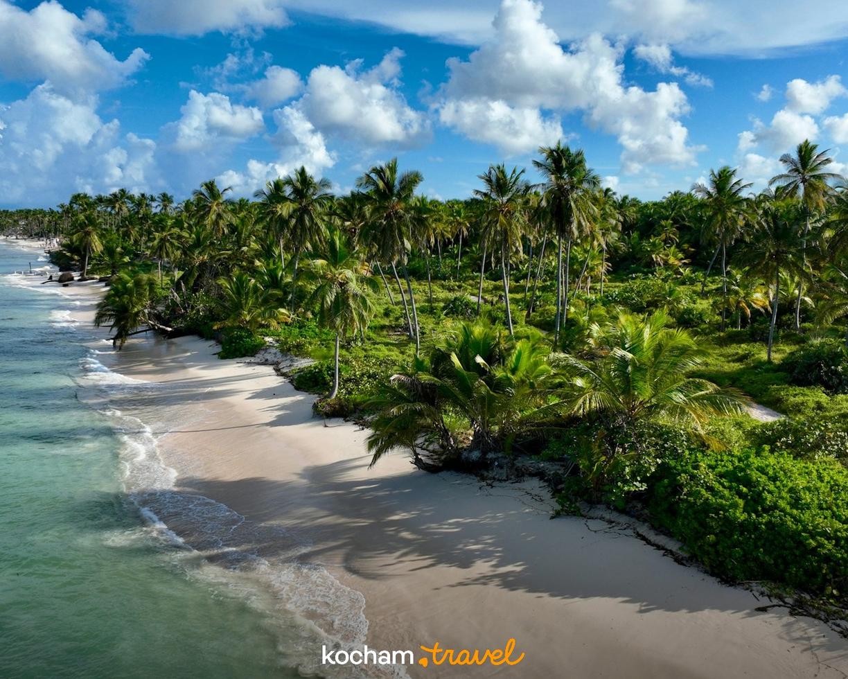 Dominikana. Odkryj Hoyo Azul i inne magiczne cenoty w okolicach Punta Cana.