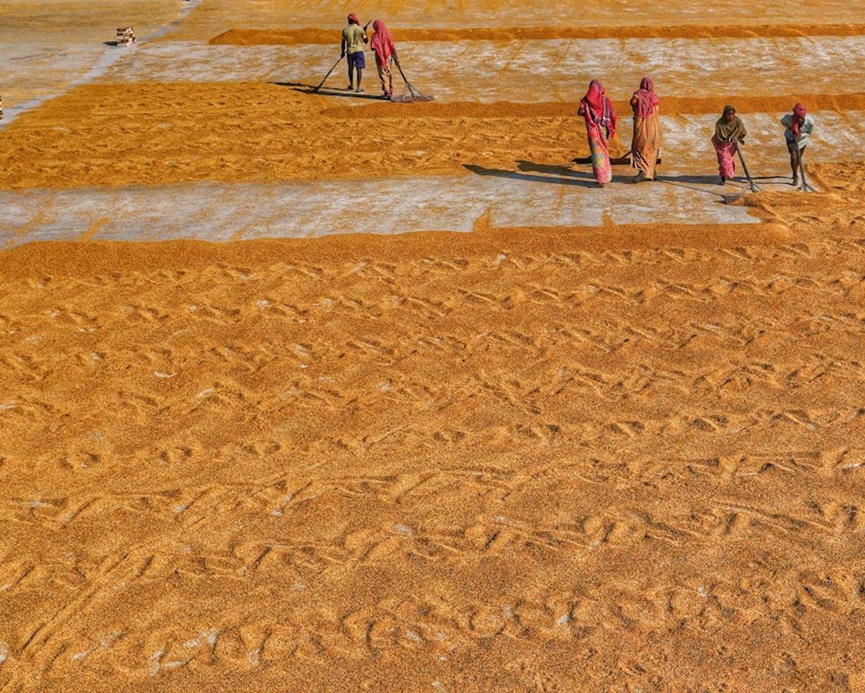 Albufeira z dziećmi: Hotele z animacjami i najlepsze piaszczyste plaże dla rodzin