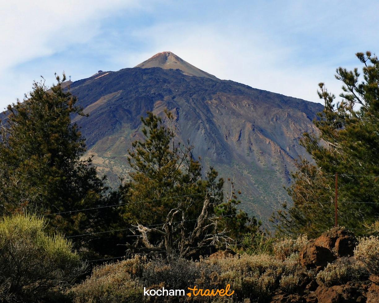 Teide, majestatyczny wulkan na Teneryfie, otoczony krzewami i sosnami.