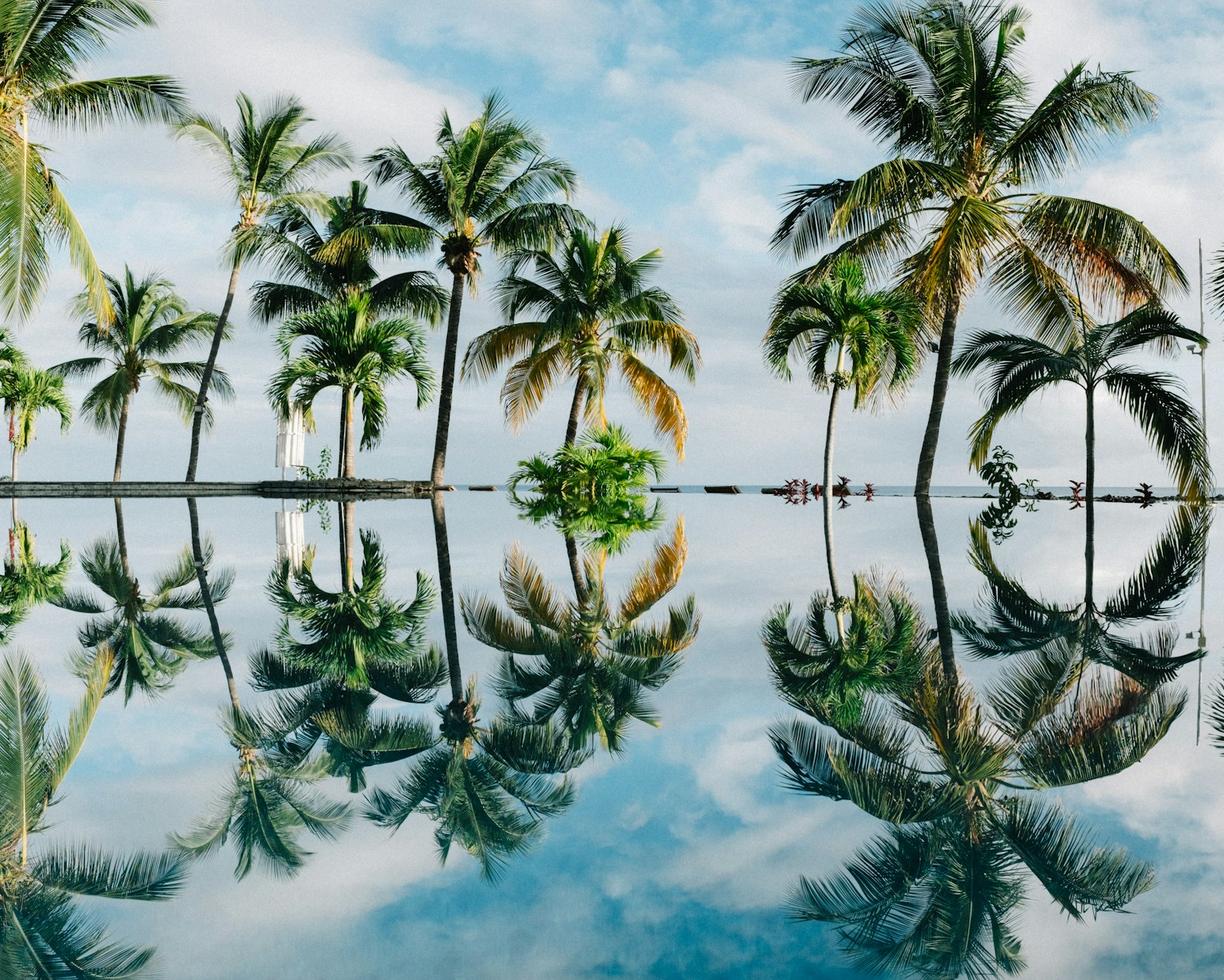 Mauritius. Ceny we Flic en Flac 2026: Ile kosztuje obiad, drink i wycieczka na Ile aux Cerfs?