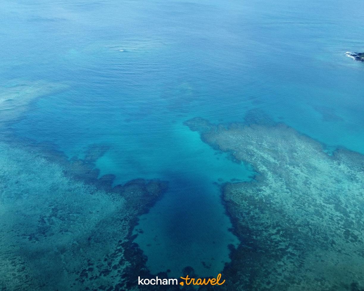 Turkusowy ocean z widocznymi rafami koralowymi i zalesioną wyspą.