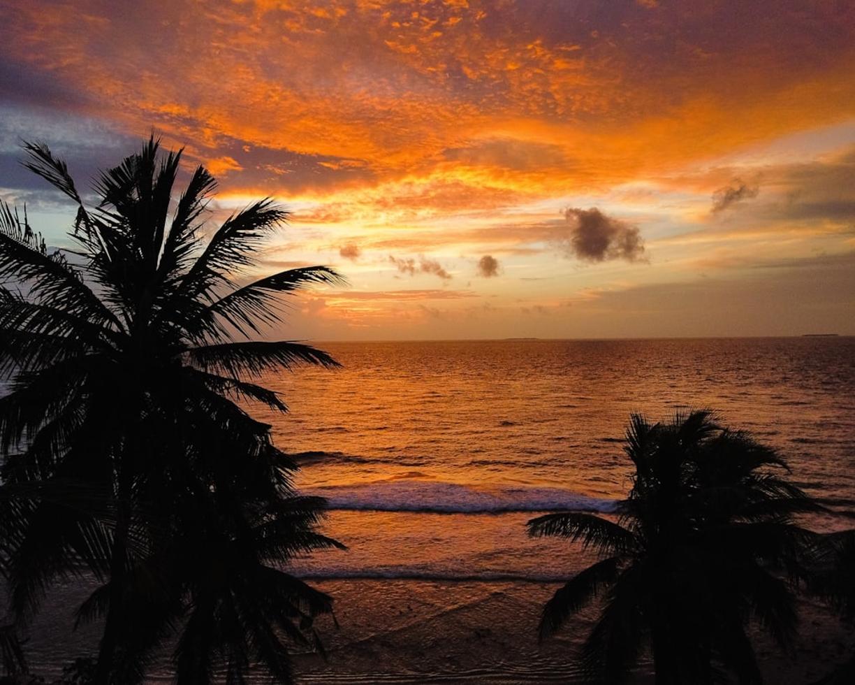 All Inclusive w Bocas del Toro: Przegląd resortów i alternatywnych noclegów