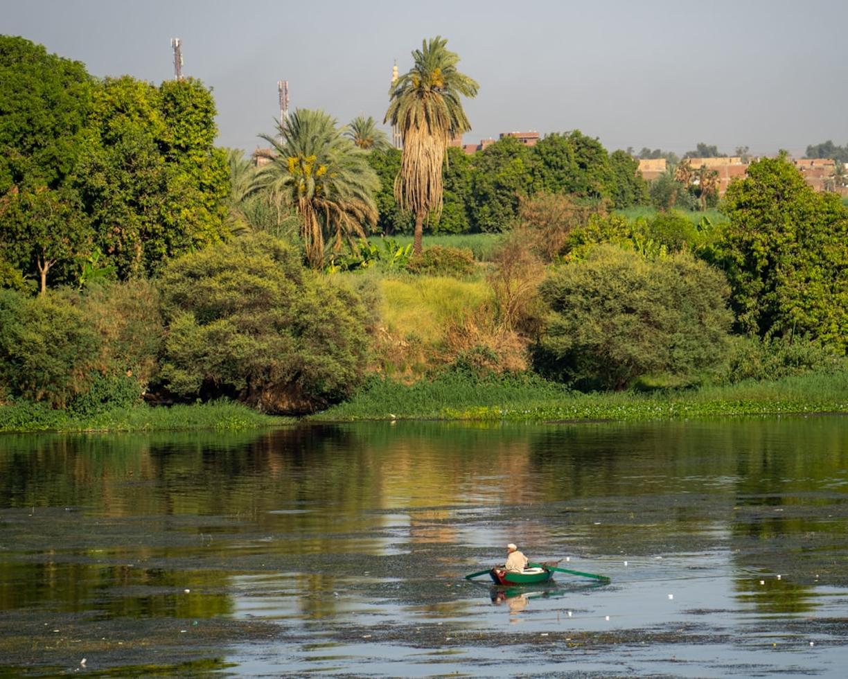 Egipt. Gdzie odpocząć od zgiełku Kairu? Park Al-Azhar i rejs feluką po Nilu
