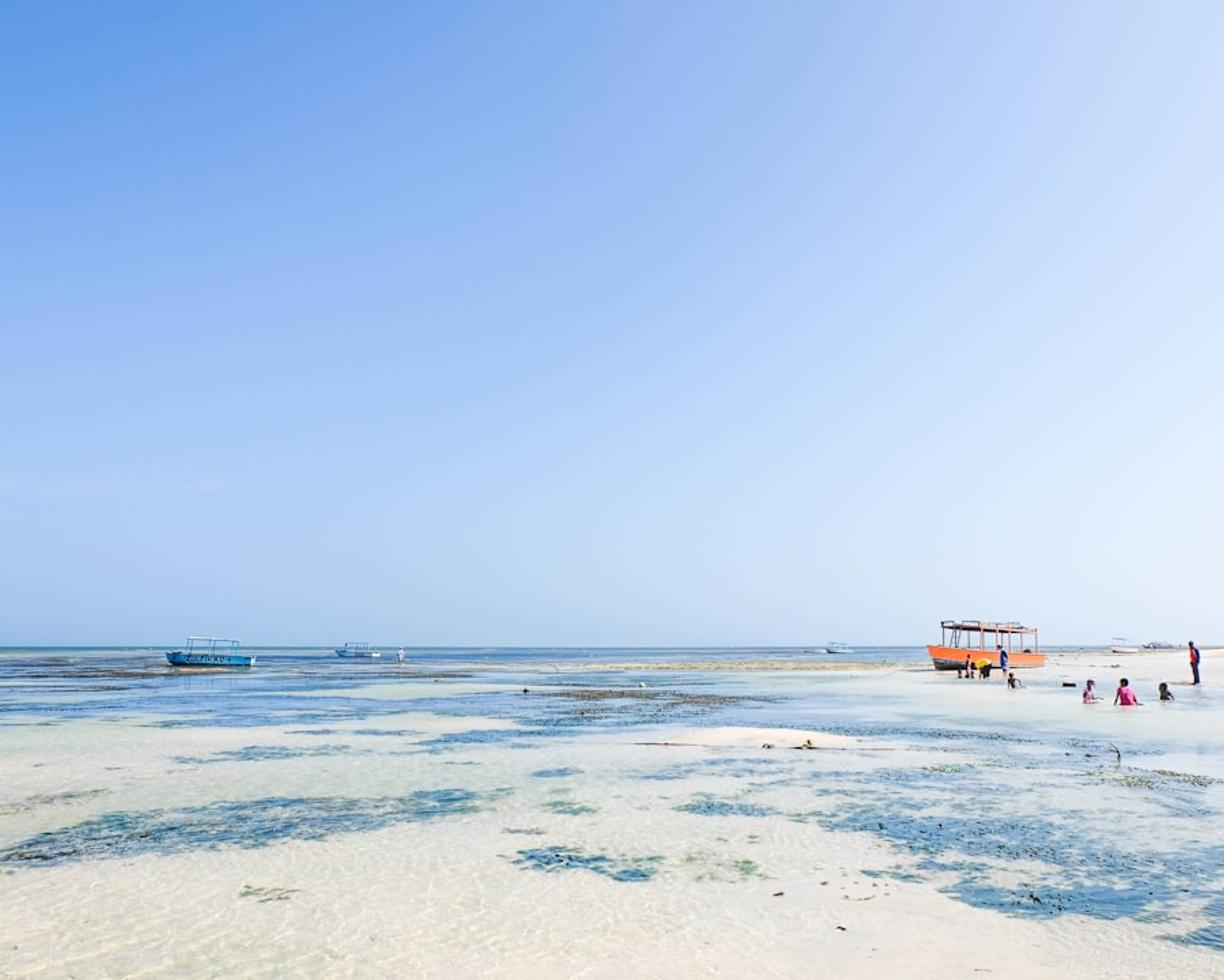 Kenia. Ceny w Malindi 2025/26: Ile kosztuje obiad, wstęp do parku morskiego i taksówka?