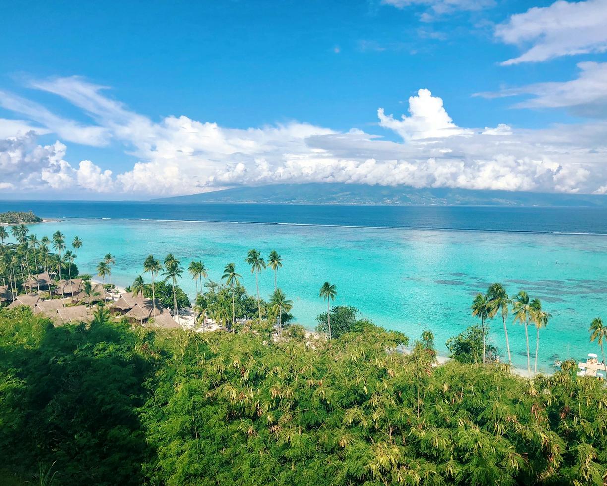Moorea: Rajskie szlaki trekkingowe z widokiem na Opunohu i Cooka.