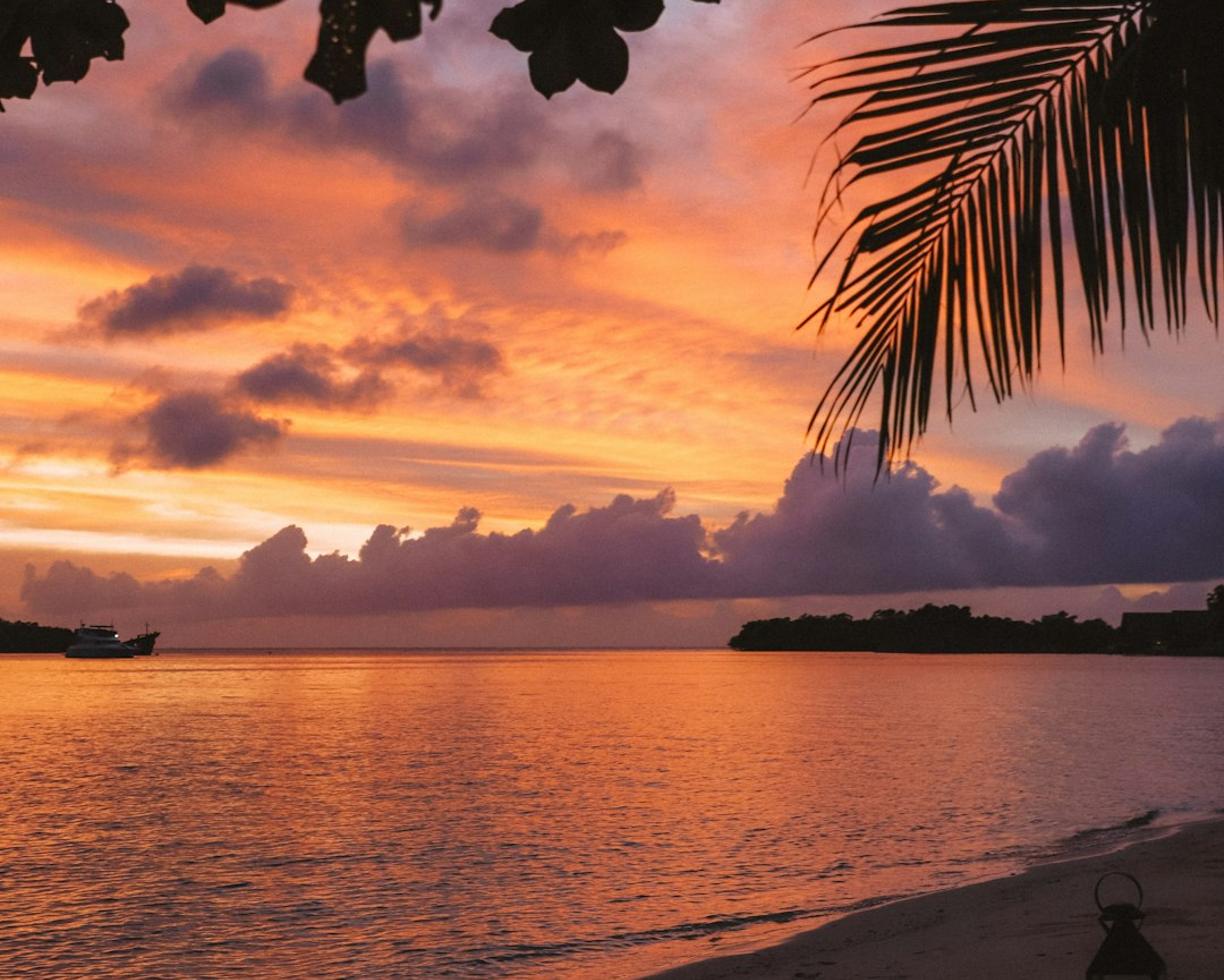 Co zwiedzić w Grand Baie i na północy Mauritiusa? Ogród Pamplemousses i Port Louis