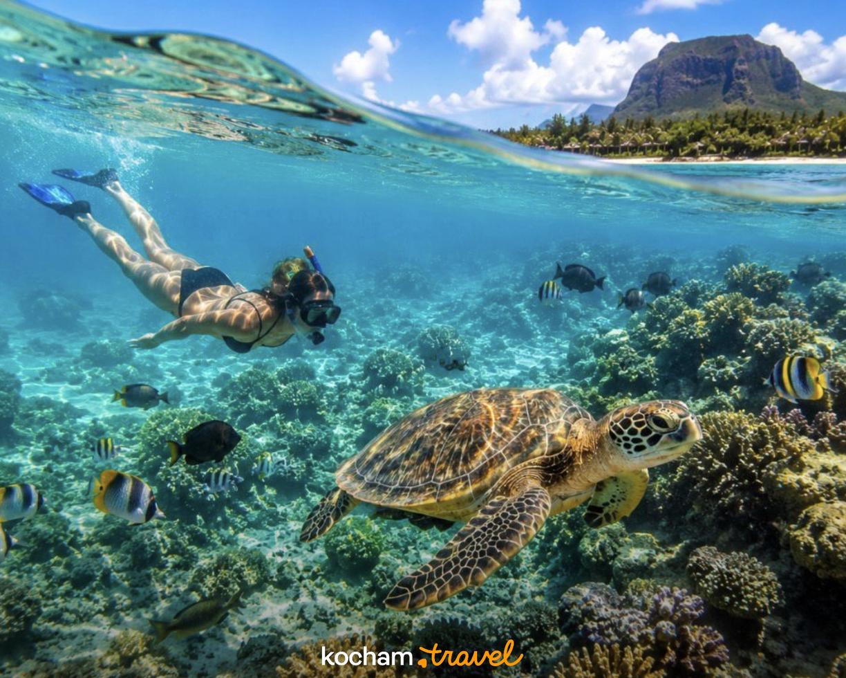 Nurkowanie z rurką, żółw morski, rafa koralowa na Mauritiusie.