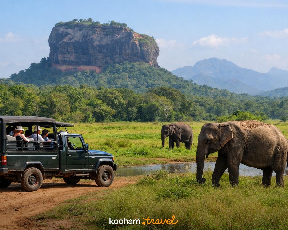 Ilustracja do tematu: Sri Lanka. Ceny safari ze słoniami w okolicach Sigiriyi. Ile zapłacisz za wynajęcie dżipa i bilety wstępu do parku?