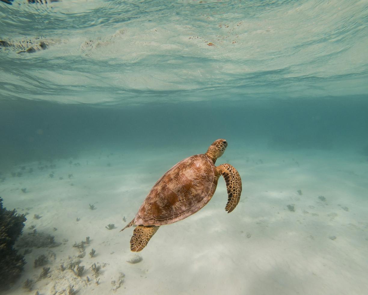 Oceania. Jak dostać się na Eton Beach? Wynajem samochodu i transport publiczny na Efate.