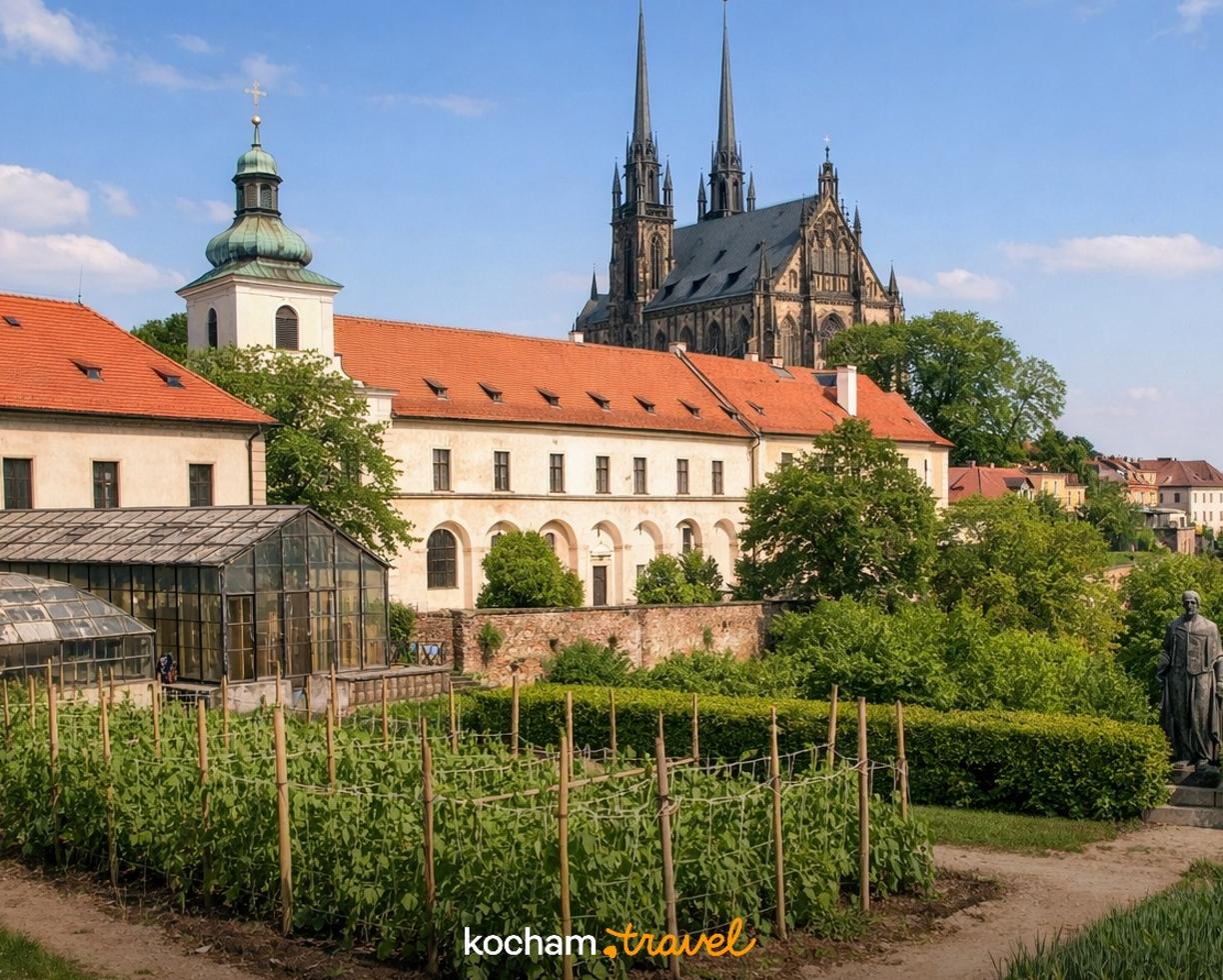 Ilustracja do tematu: City break z Krakowa: Brno - śladami Gregora Mendla i naukowych odkryć w czeskich Morawach.