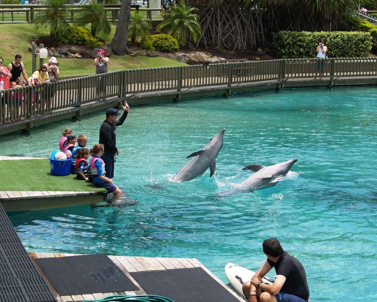 Miami z dziećmi: ZOO, Muzeum Dziecięce i inne atrakcje dla rodzin