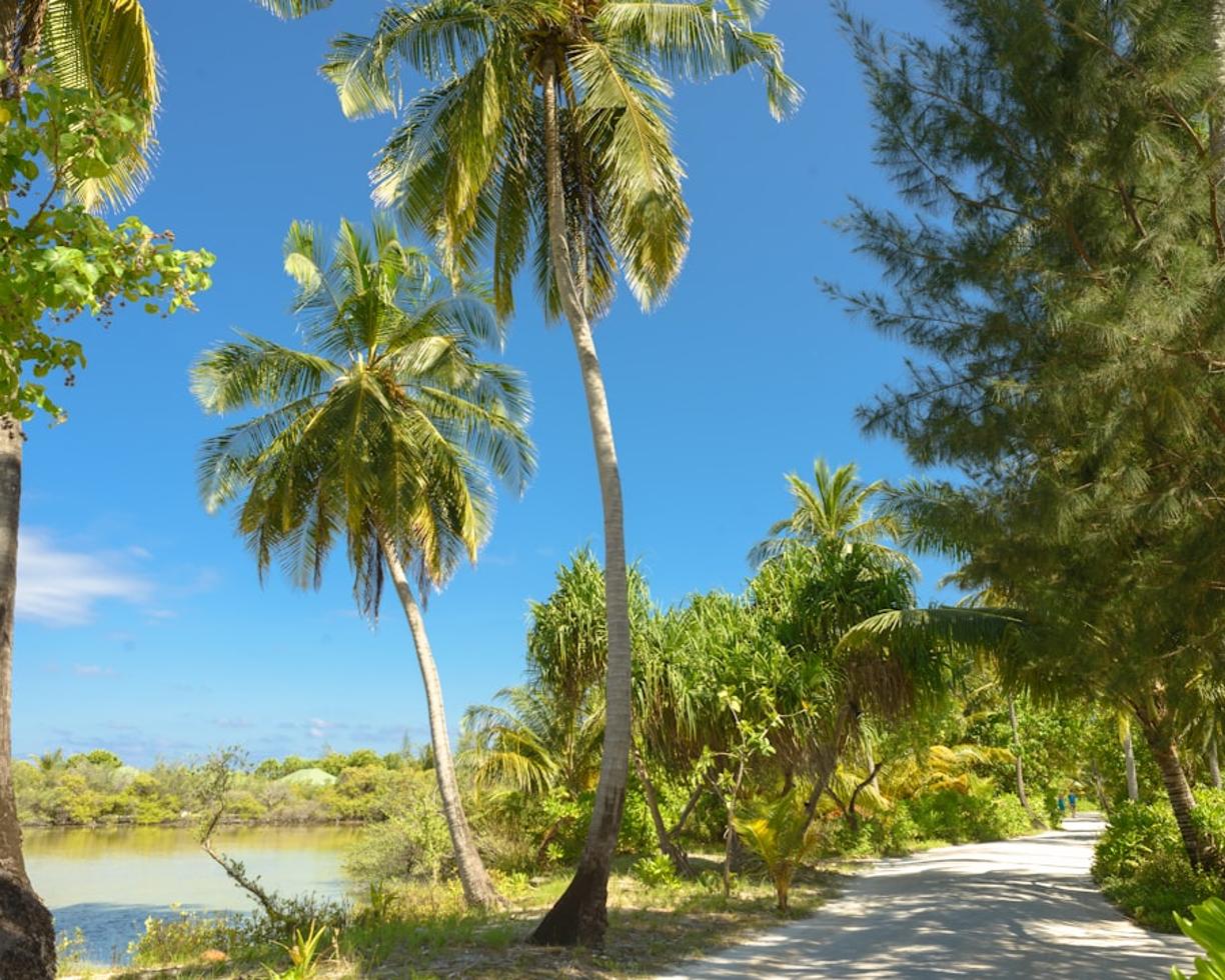 Oceania. Sporty wodne na Aitutaki: Nurkowanie, kitesurfing i kajaki w sercu Polinezji