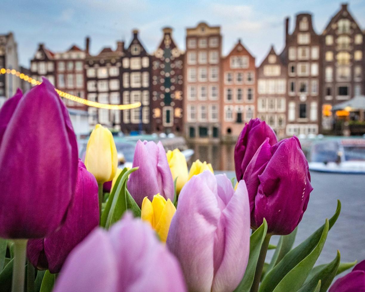 Nederlandy. Karta I amsterdam: Czy warto ją kupić? Analiza zniżek i oszczędności