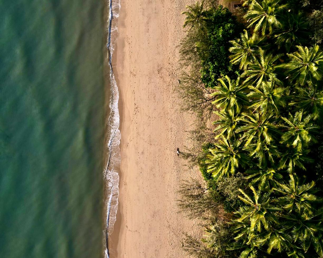 Widok na Palm Cove Beach w Cairns