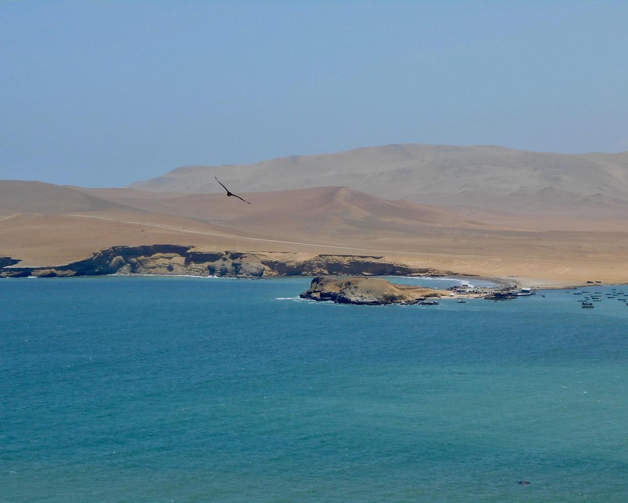 Paracas: jak dojechać i gdzie spać — przejrzysty plan?
