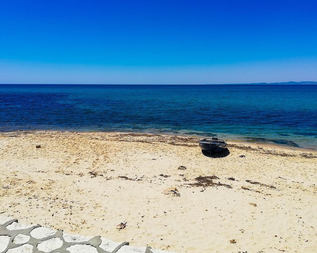 Hammamet: gdzie zjeść — lokalne klasyki i street food?