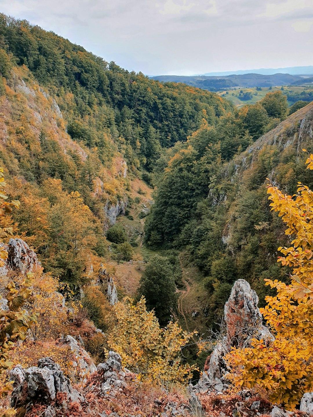 Trekking w górach Mecsek: Najlepsze szlaki w okolicach Peczu