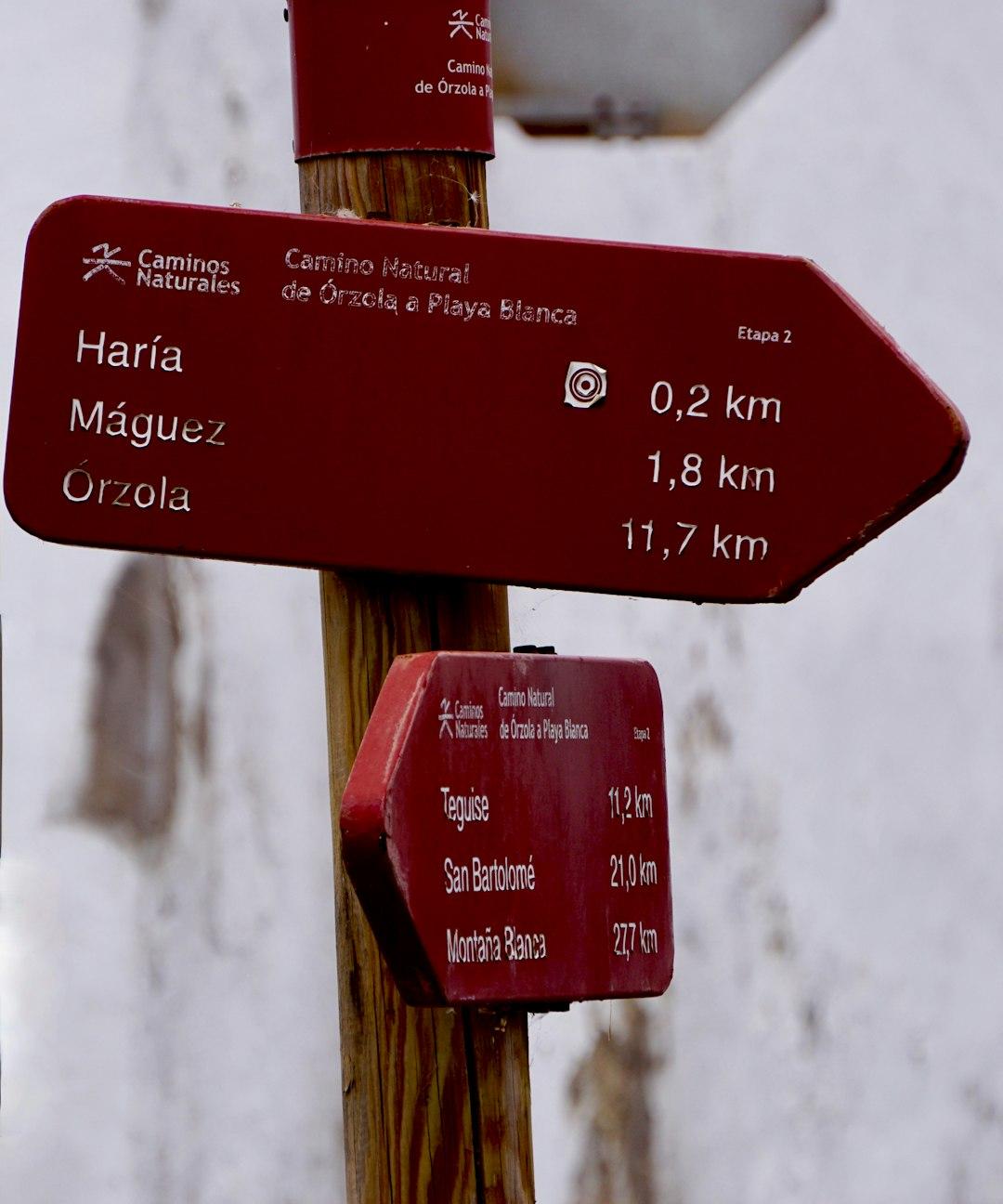 Szlak Wokół Peca z drewnianymi znakami