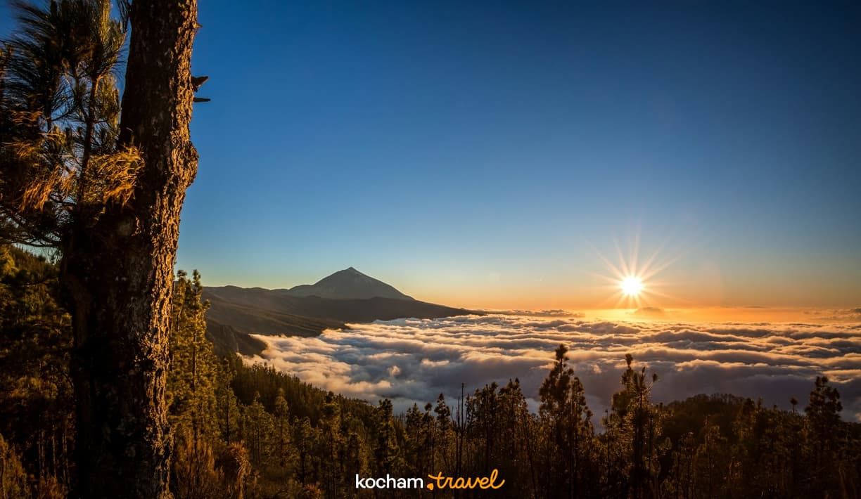 Wschód słońca nad chmurami, wulkan Teide, las sosnowy.