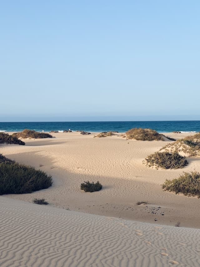 Naturalny krajobraz piaszczystej plaży z wydmami i błękitnym oceanem.