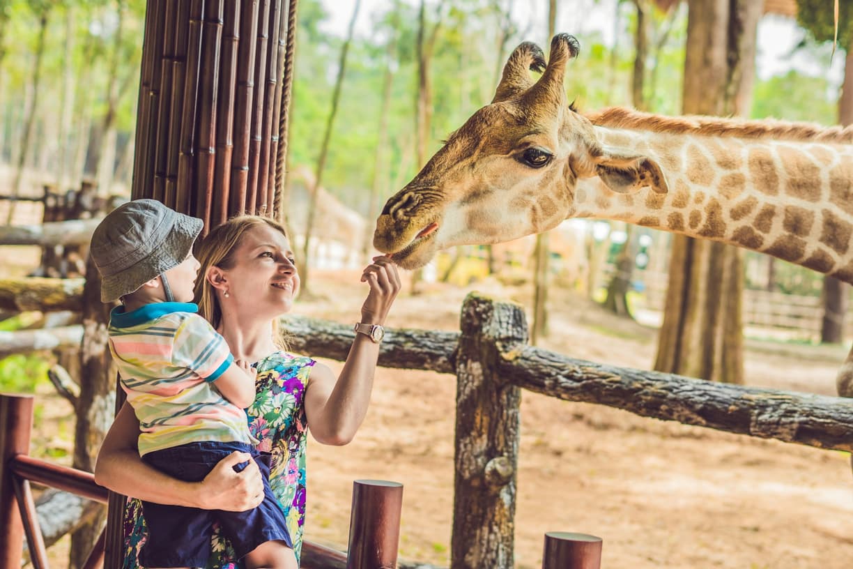 Rodzina zwiedzająca ogród zoologiczny