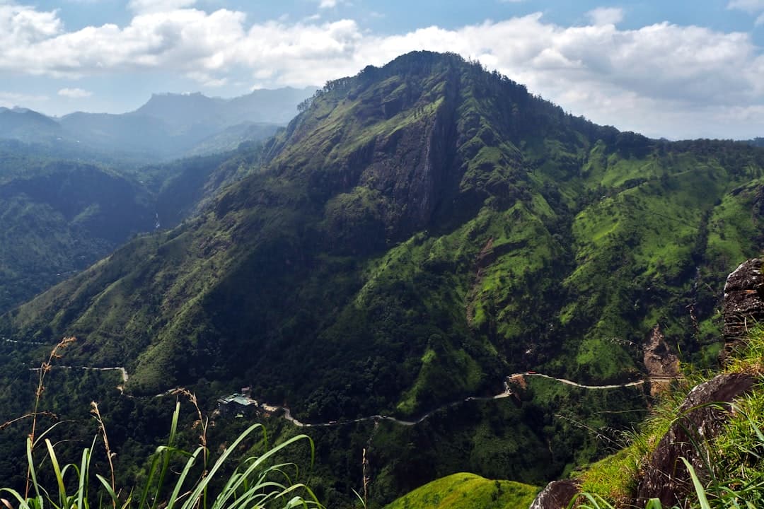 Widok z Małego Adam’s Peak, bujna zieleń