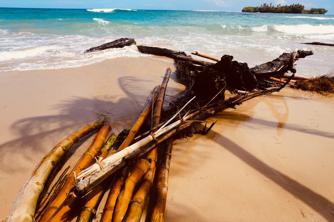 Eksploracja Bocas del Toro na rowerze