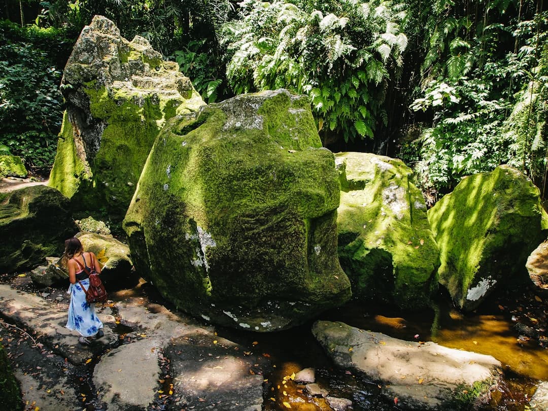 Rodzina na przygodzie w Manuel Antonio