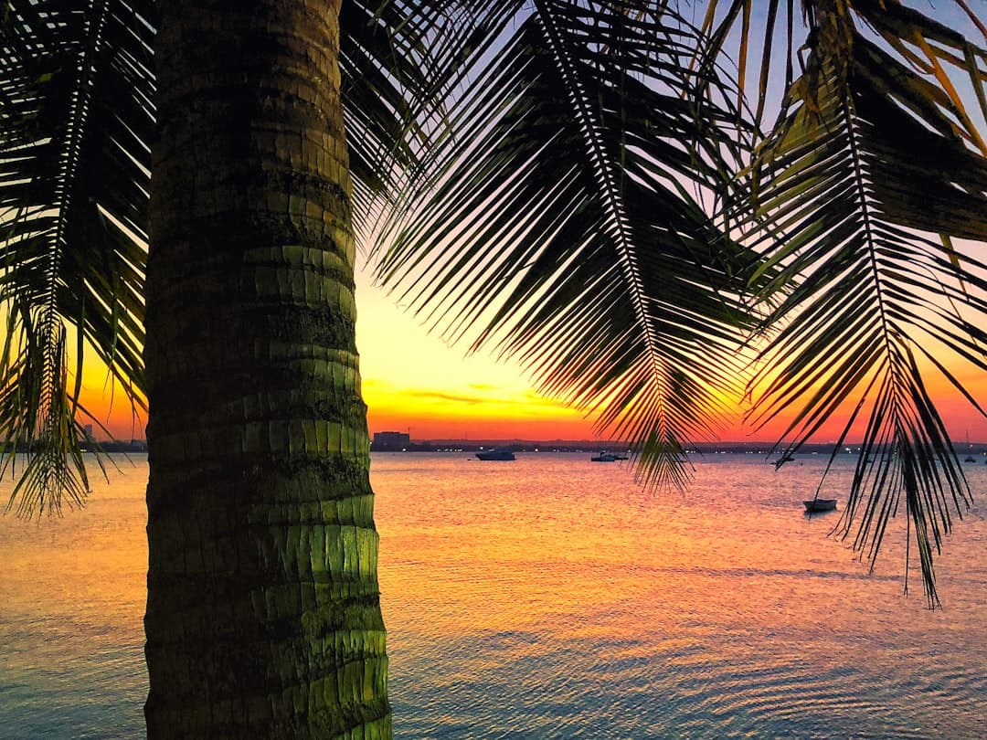 Zachód słońca na plaży Zanzibaru