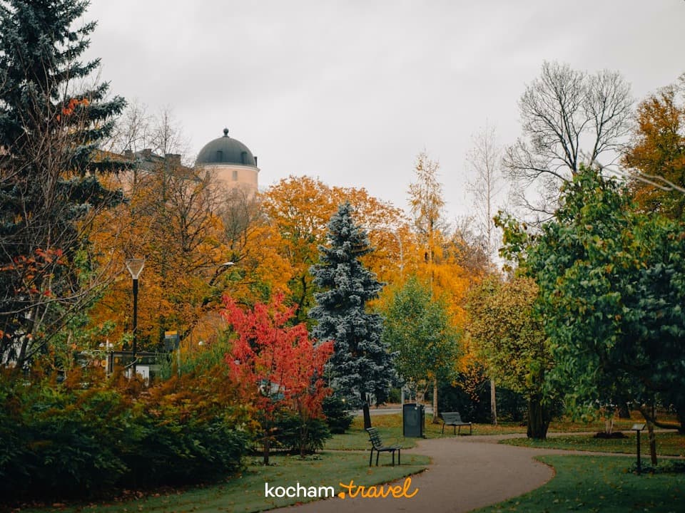 Jesienny park miejski z kolorowymi drzewami i budynkiem z kopułą.