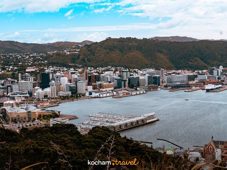 Panoramiczny widok miasta Wellington, port, jachty, zielone wzgórza.