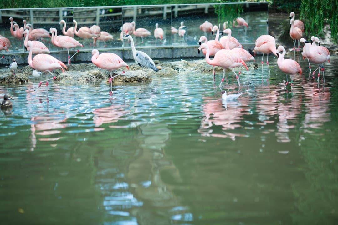 Rodzina w ARTIS Zoo