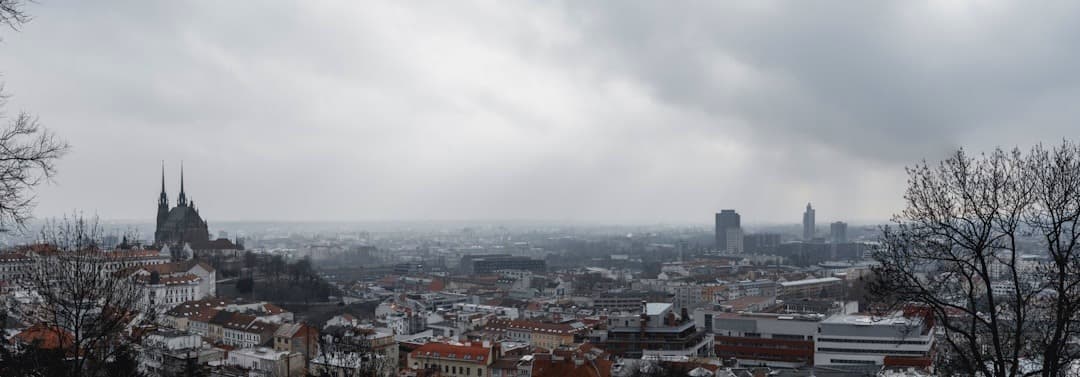 Brno, panorama miasta z katedrą, pochmurny zimowy dzień.