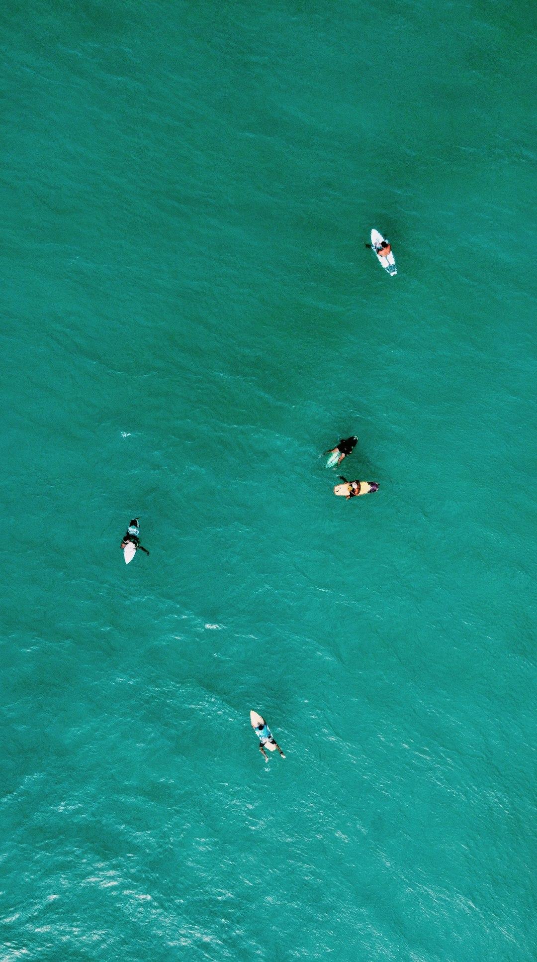 Surferzy korzystający z fal na plaży Macao