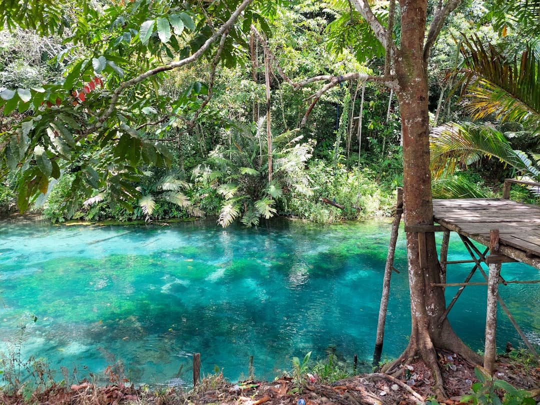 Szmaragdowy Staw w Krabi