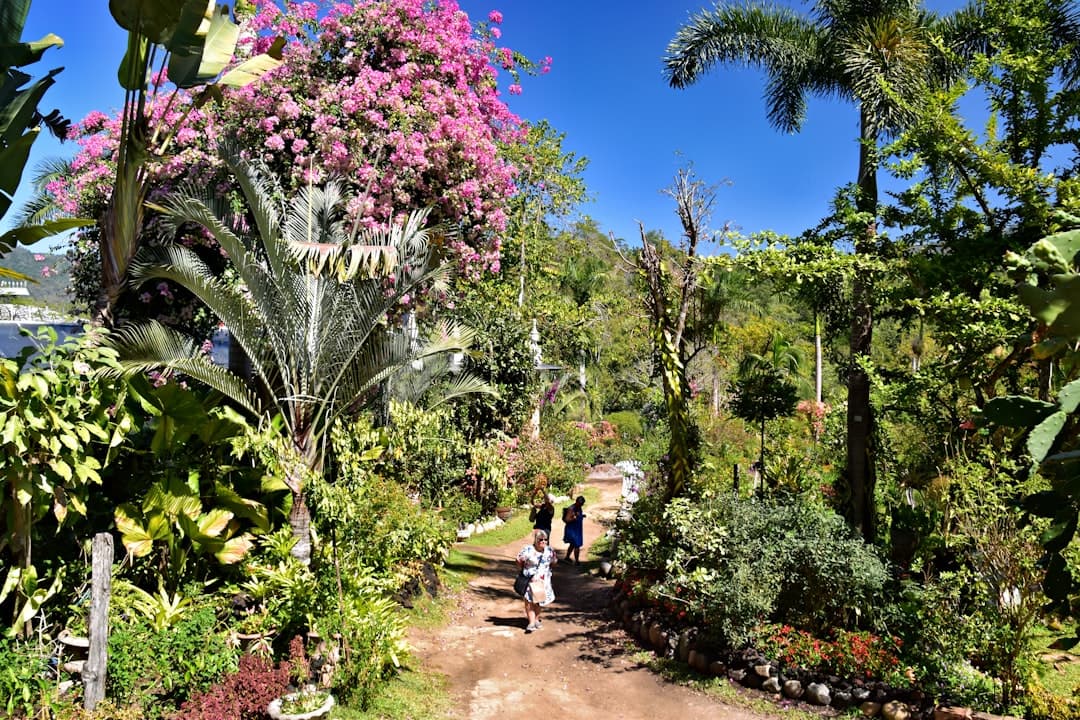 Ogród botaniczny w Funchal