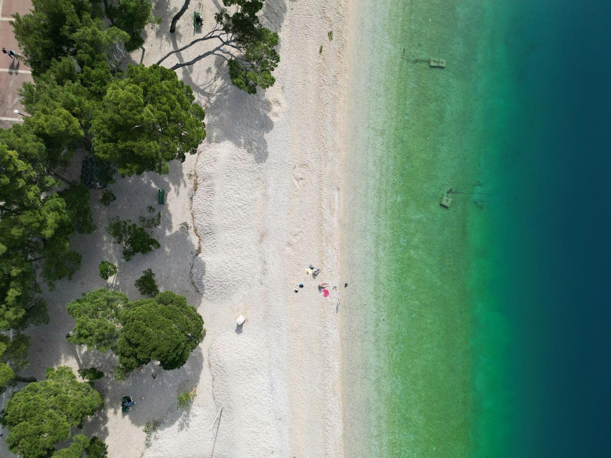Plaża z turkusowym morzem i zielonymi drzewami.