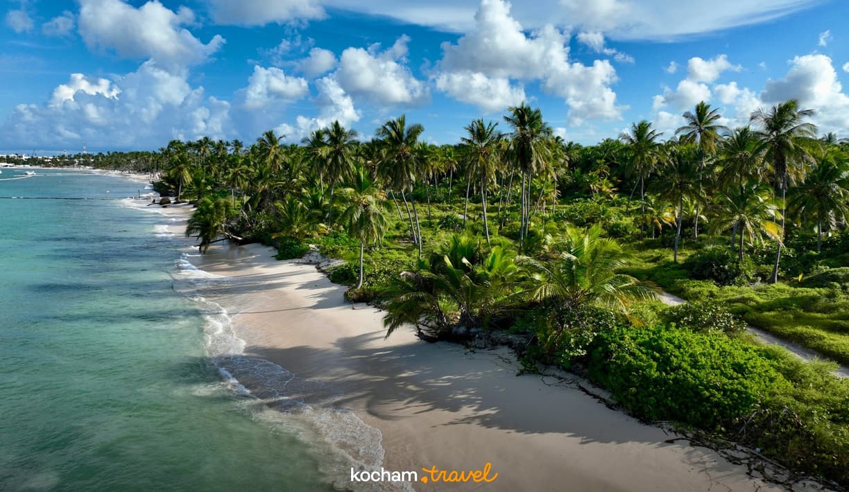 Dominikana. Odkryj Hoyo Azul i inne magiczne cenoty w okolicach Punta Cana.