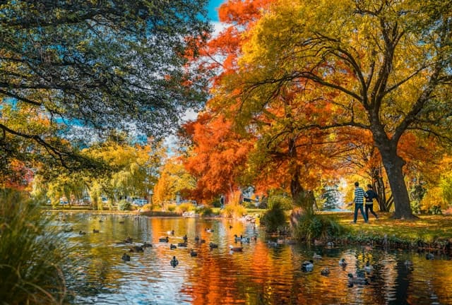 Jesienny park ze stawem, kolorowymi drzewami i spacerującymi ludźmi.