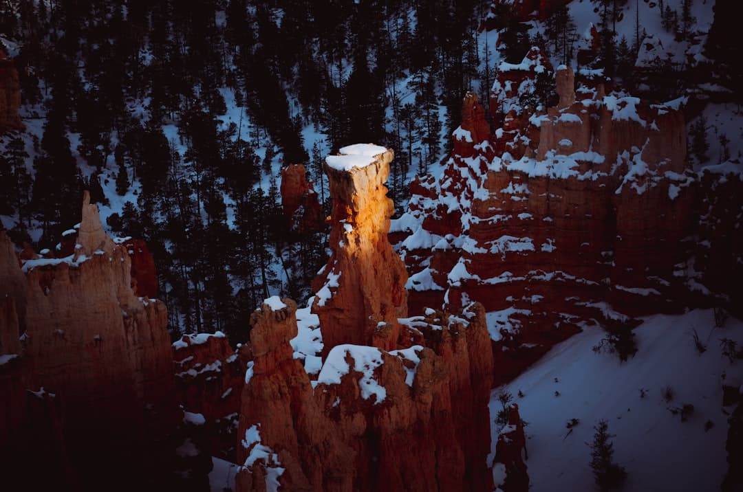 Czerwone hoodoos pokryte śniegiem, oświetlone słońcem, w zimowym krajobrazie.