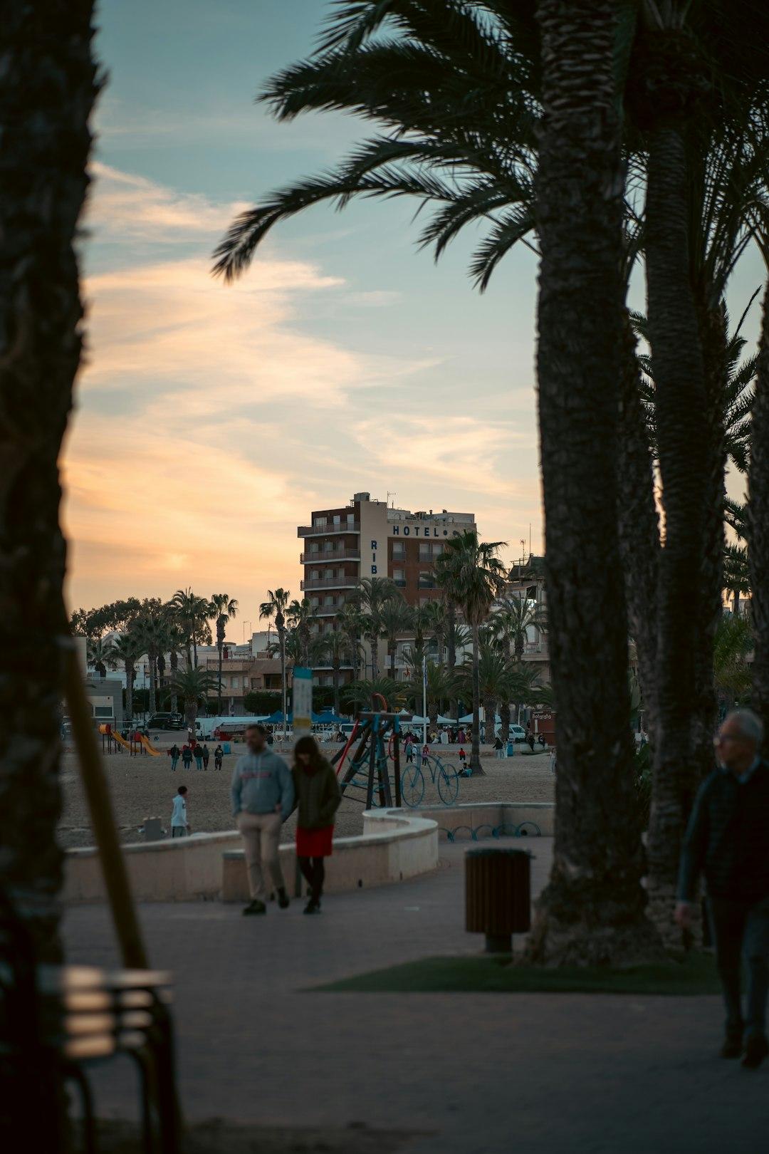 Widok na plażę Barceloneta z palmami i zachodem słońca