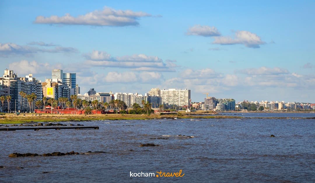 Nadmorska panorama miasta z nowoczesnymi budynkami i palmami.