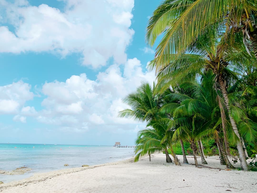 All Inclusive na Cozumel: Przewodnik po najlepszych resortach dla nurków i rodzin