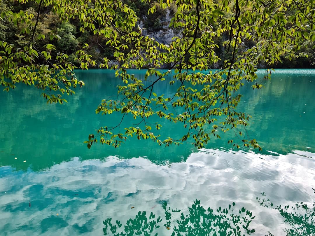 Niebieskie Oko w Albanii