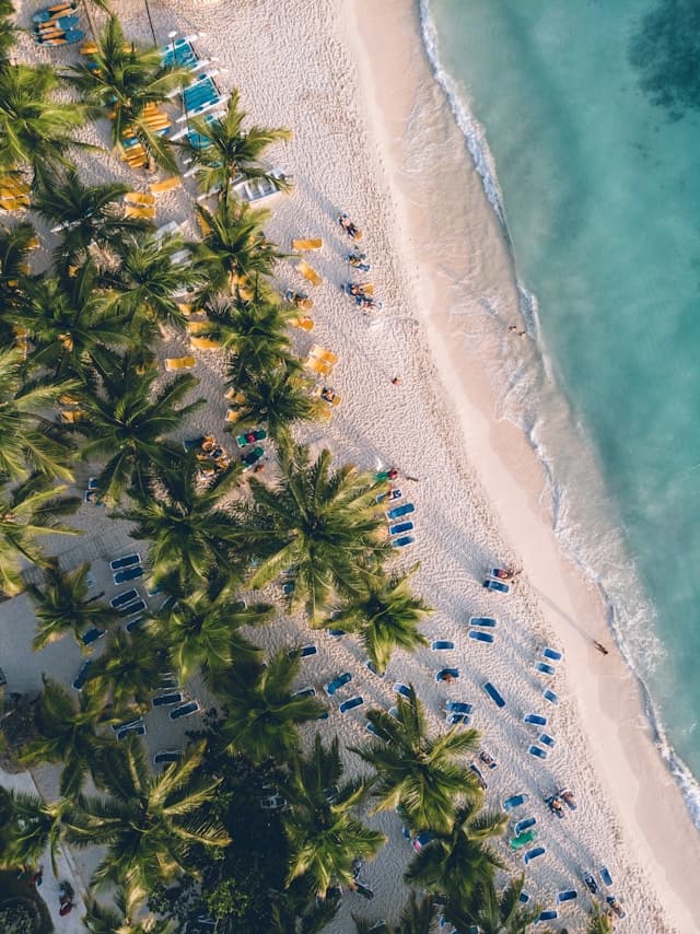 Widok z góry na tropikalną plażę z palmami i turkusowym oceanem.
