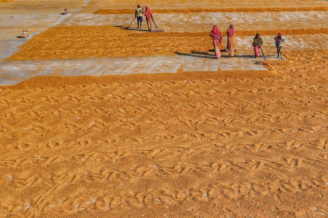 Albufeira z dziećmi: Hotele z animacjami i najlepsze piaszczyste plaże dla rodzin