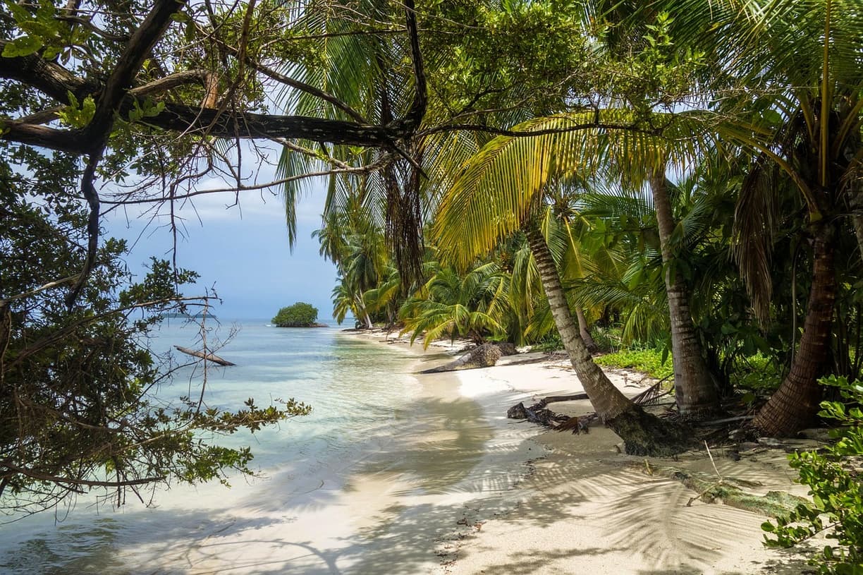 Tropikalna plaża z palmami, turkusową wodą i białym piaskiem.
