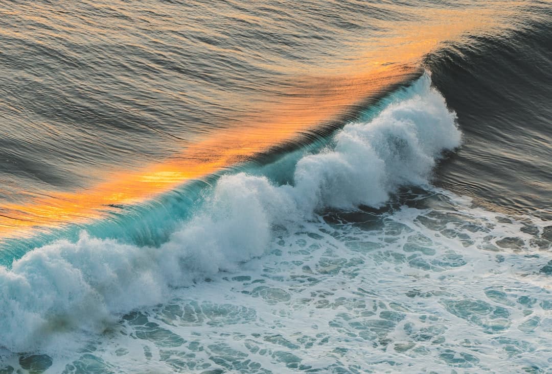 Doświadczeni surferzy na dużych falach